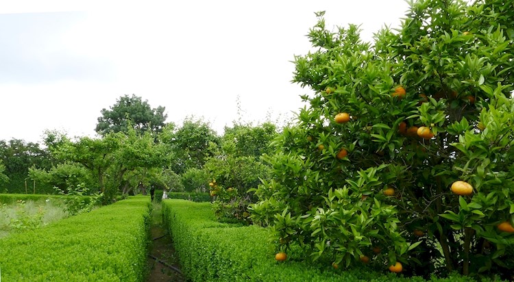 Quinta de Chão de São Francisco