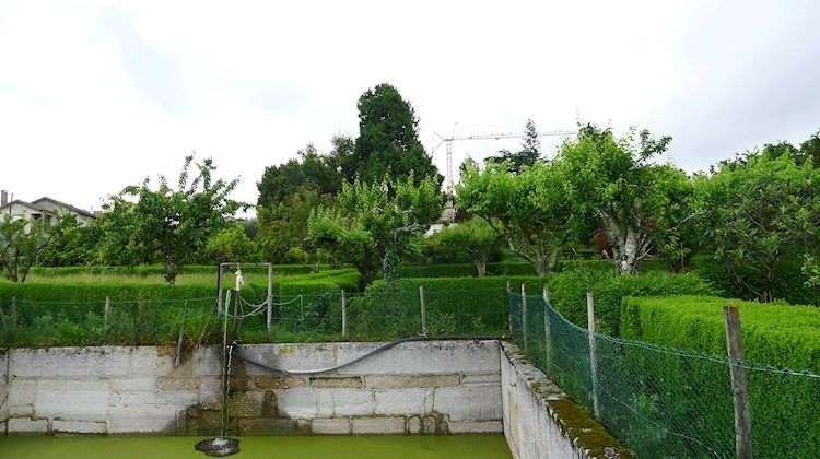 Quinta de Chão de São Francisco