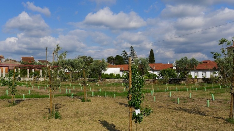 Casa de Ibérico Nogueira