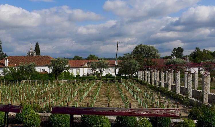 Casa de Ibérico Nogueira