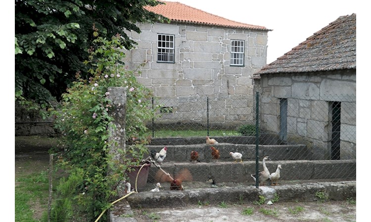 Quinta de Vilar Seco