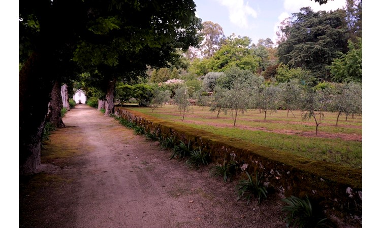 Casa de Almeidinha