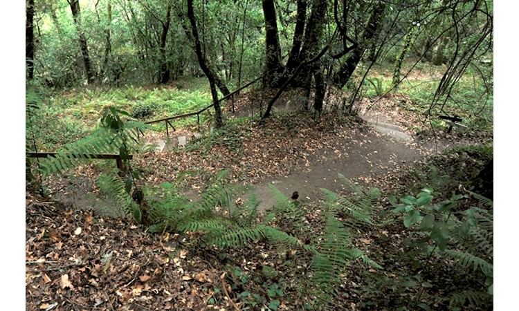Enclosure of the Monastery of S. Cristóvão de Lafões