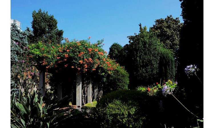 Garden of the Nogueira da Silva Museum