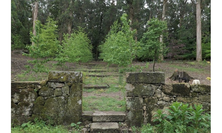 Monastery of Landim