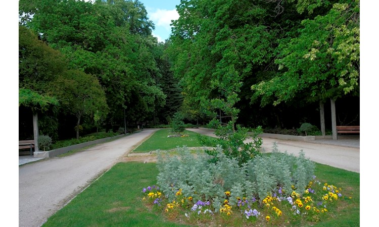 Vizela Thermal Park