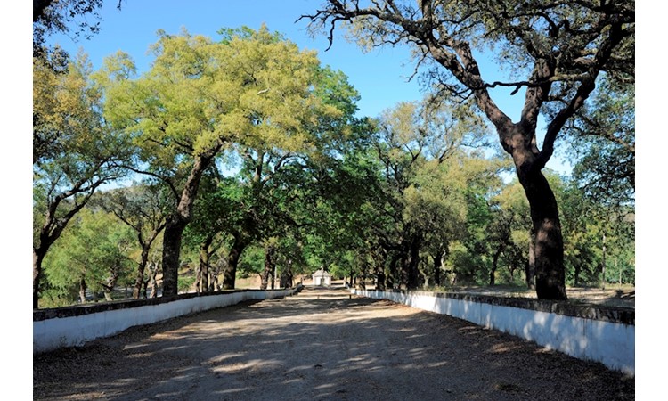 Sanctuary of Falperra