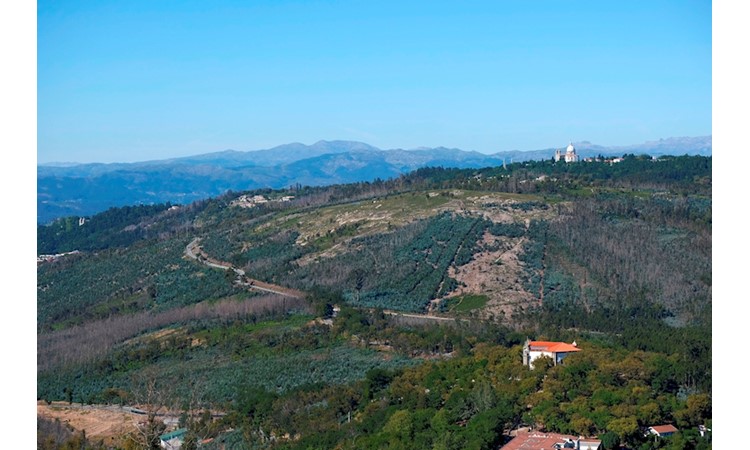 Sanctuary of Falperra