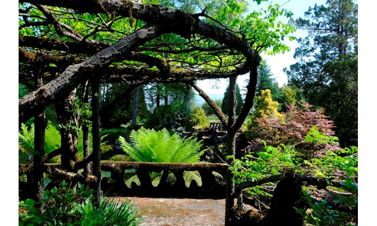 Quinta de Curvos