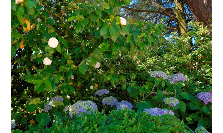 Quinta de Curvos
