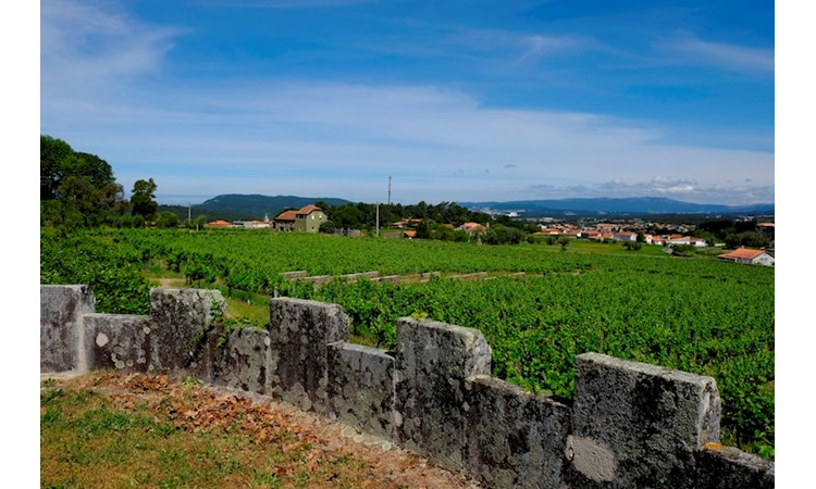Quinta de Curvos