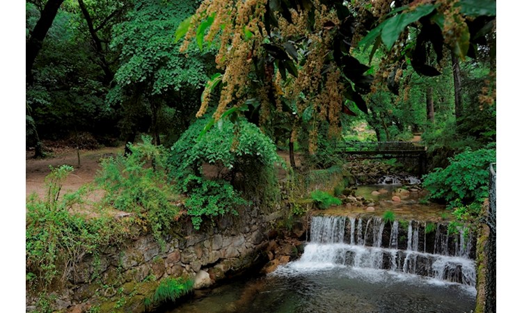 Gerês Thermal Park