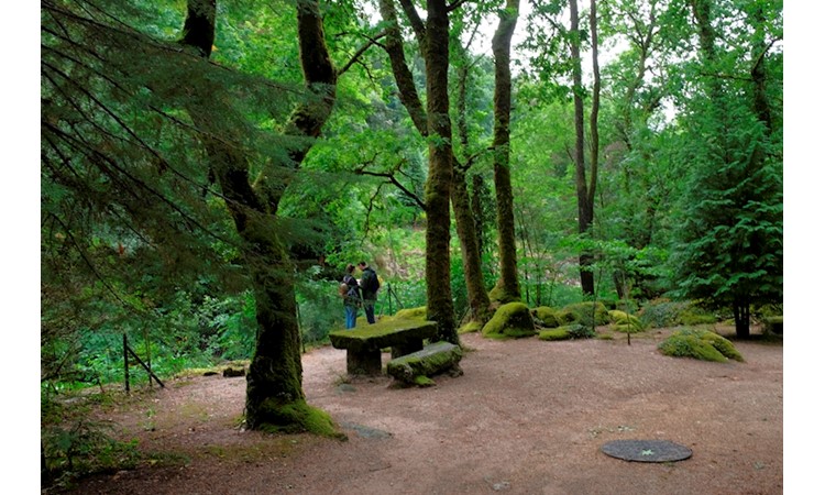 Gerês Thermal Park