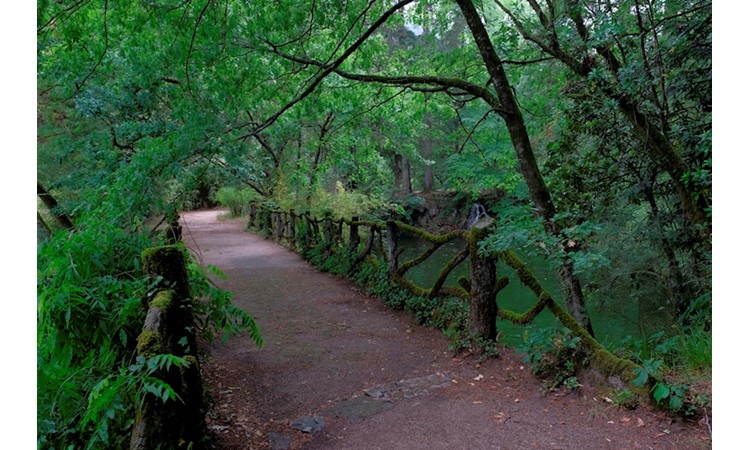 Gerês Thermal Park