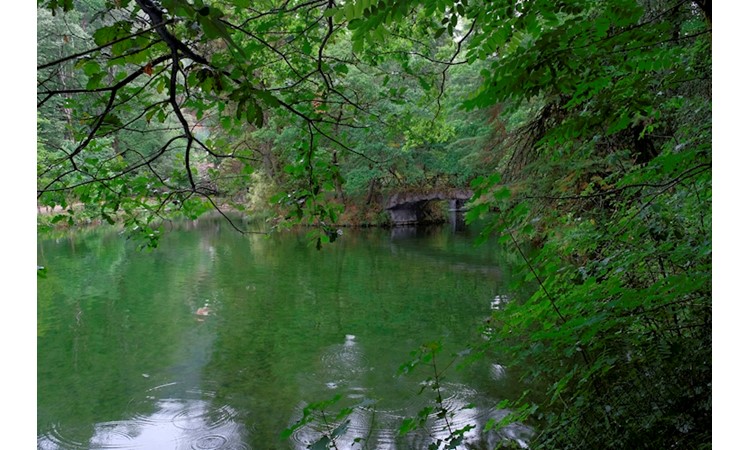 Gerês Thermal Park