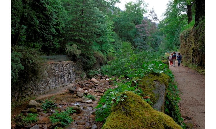 Gerês Thermal Park
