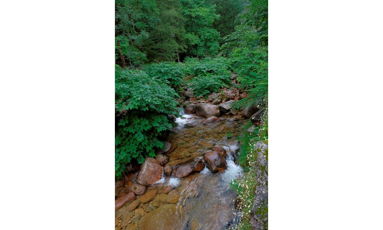 Gerês Thermal Park