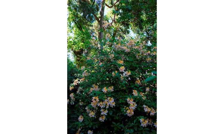 Quinta da Aveleda