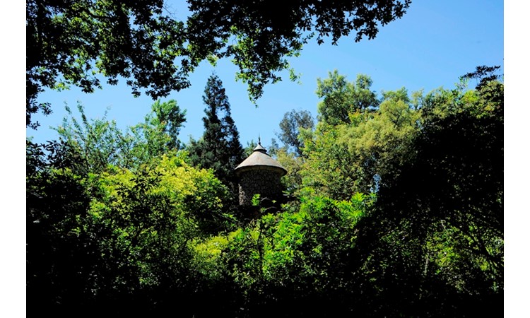 Quinta da Aveleda
