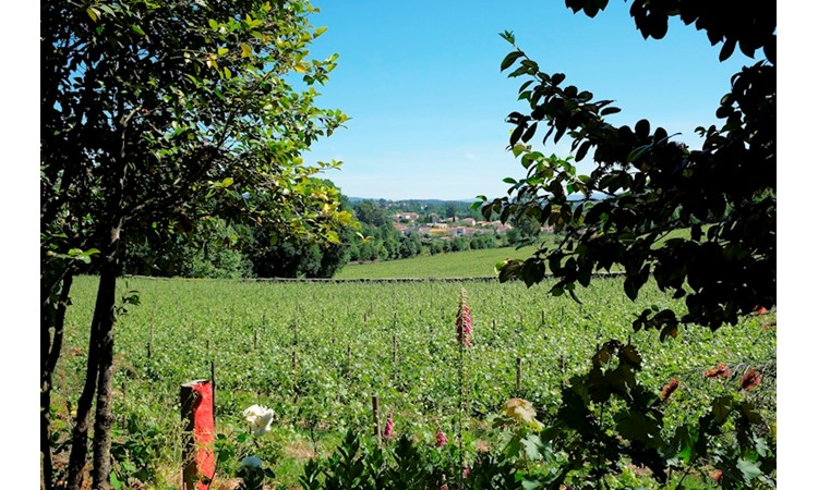 Quinta da Aveleda