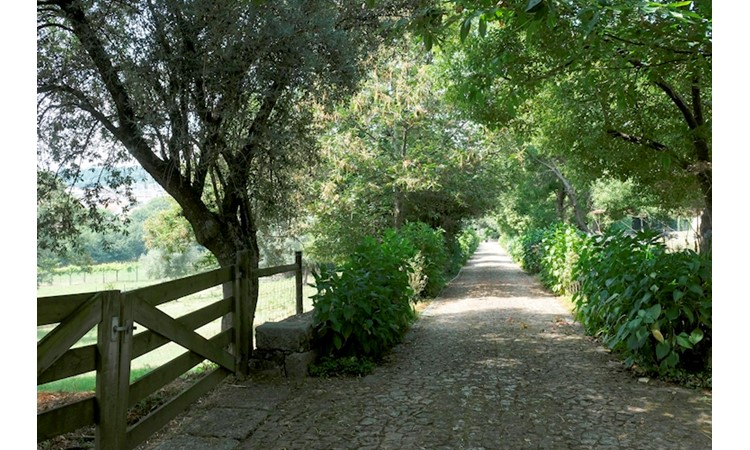 Quinta do Souto