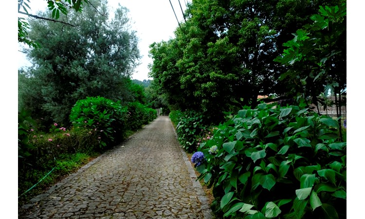 Quinta do Souto
