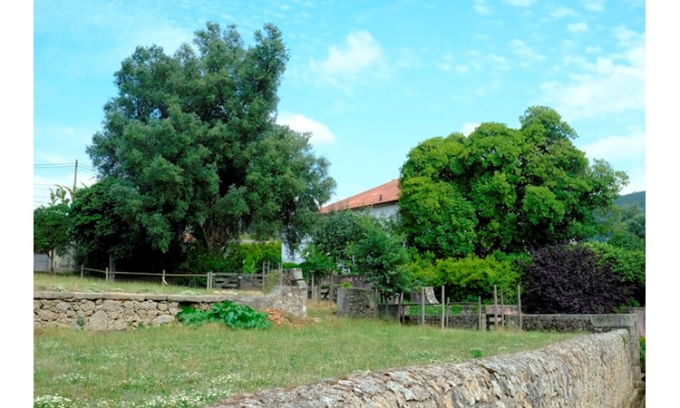 Quinta do Souto