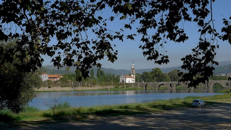 Avenue of Plátanos