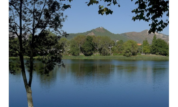 Avenue of Plátanos