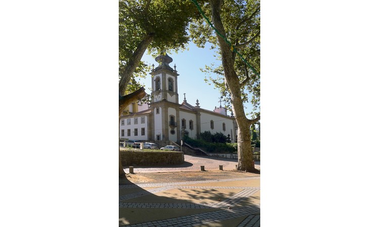 Avenue of Plátanos