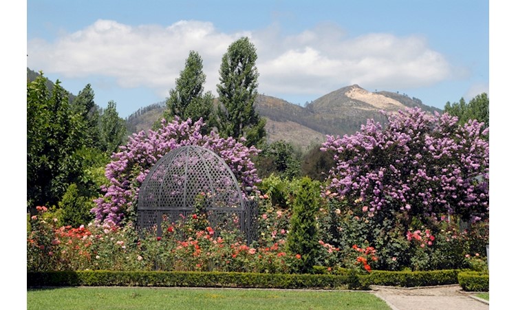 Parque do Arnado and the Riverside Gardens of Arcozelo