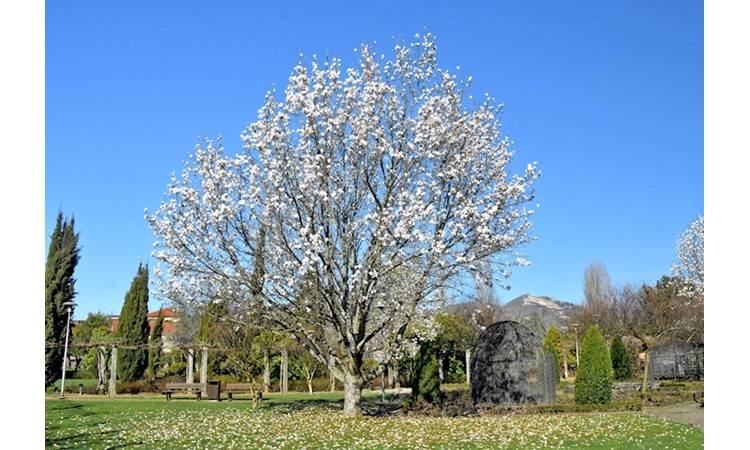 Parque do Arnado and the Riverside Gardens of Arcozelo