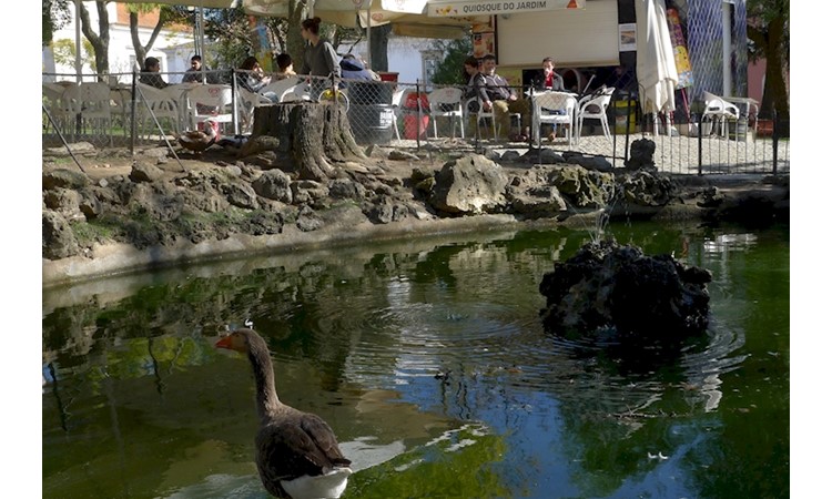 Évora Public Garden