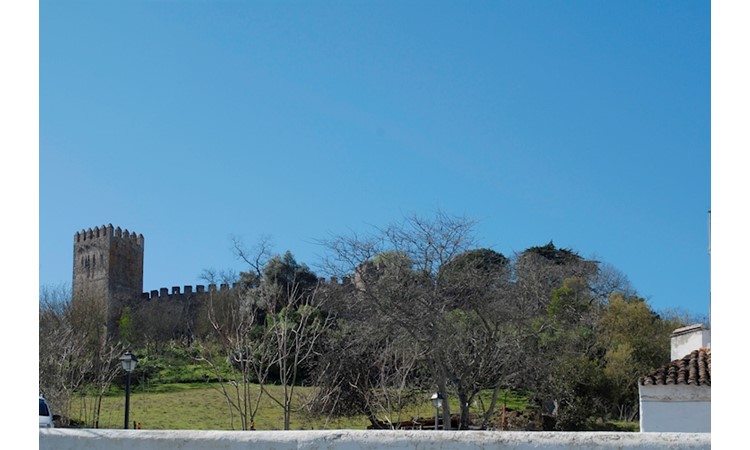 Garden of Montemor-o-Novo Castle