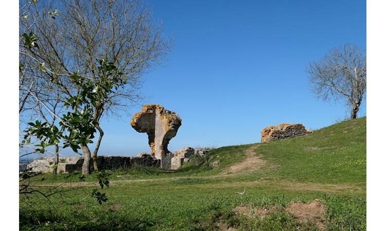 Garden of Montemor-o-Novo Castle