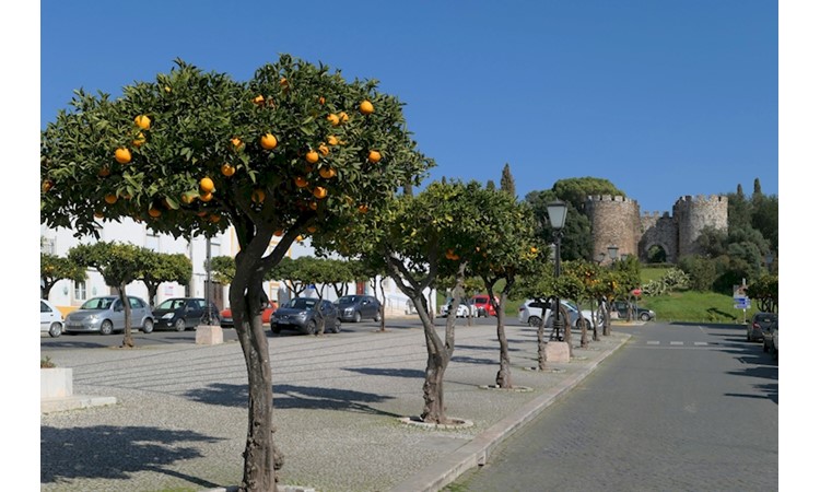 Jardin du Château de Vila Viçosa