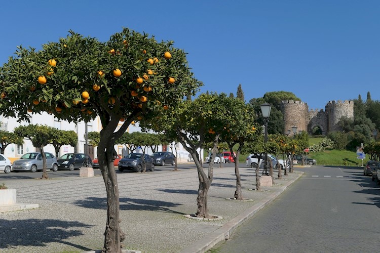 Jardin du Château de Vila Viçosa