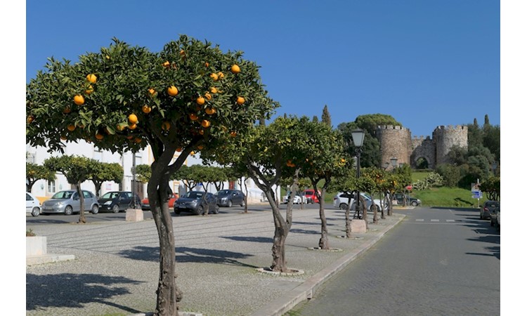 Garden of Vila Viçosa Castle