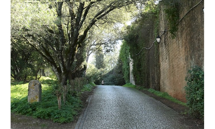 Jardin du Château de Vila Viçosa