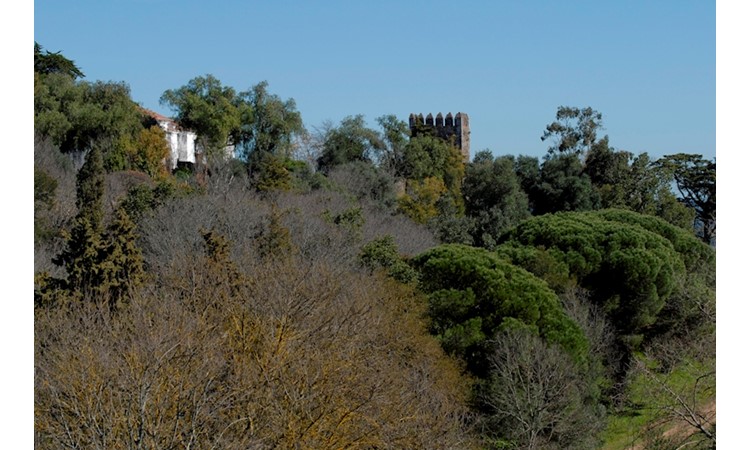 Jardin du Château de Vila Viçosa