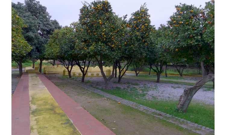 Jardim das Laranjeiras