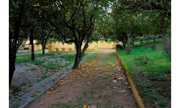 Jardim das Laranjeiras