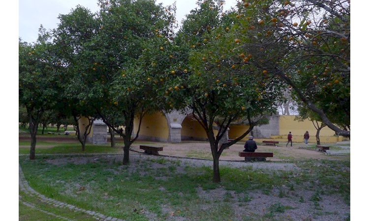 Jardim das Laranjeiras