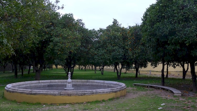 Jardim das Laranjeiras