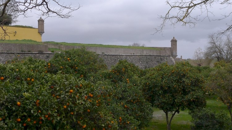Jardim das Laranjeiras