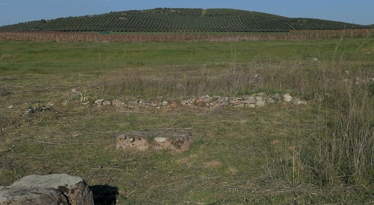 Roman Villa in Torre de Palma