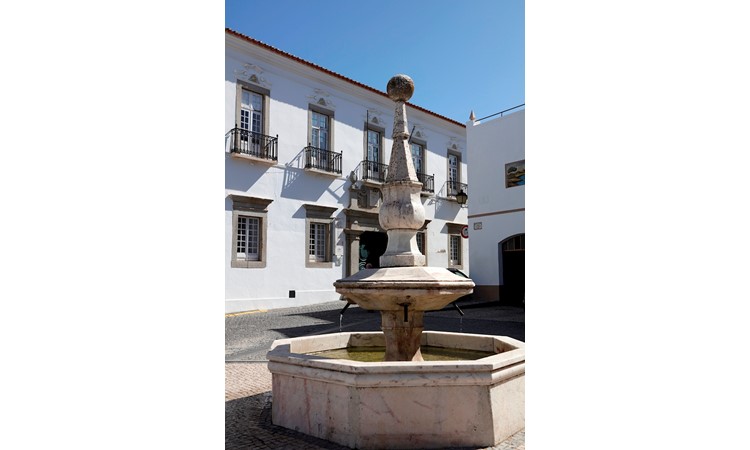 Garden of the Palace of Visconde de Olivã