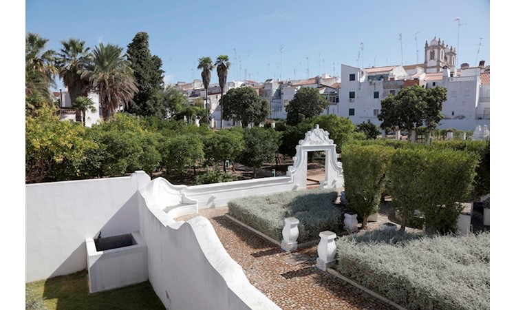 Garden of the Palace of Visconde de Olivã