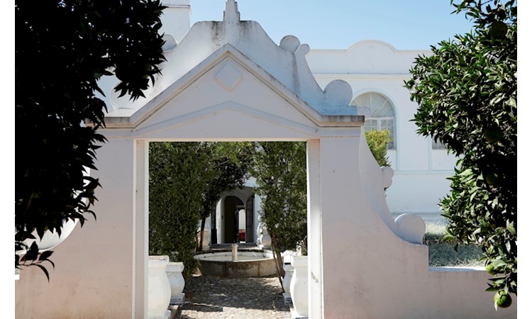 Garden of the Palace of Visconde de Olivã