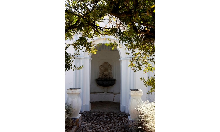 Garden of the Palace of Visconde de Olivã
